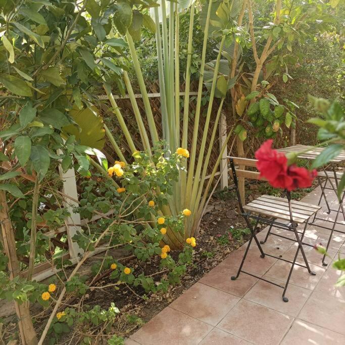 Eilat Stone Terrace-אילת סטון טראס Exterior foto